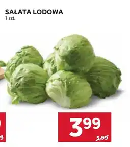 Stokrotka Market Sałata lodowa oferta