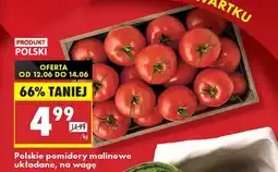 Biedronka Pomidory Polski oferta
