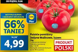 Lidl Polskie pomidory Jedyne Malinowe oferta