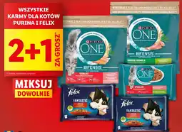 Lidl Purina i felix wszystkie karmy dla kotów oferta