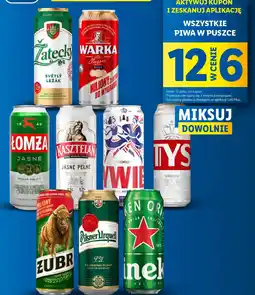 Wszystkie piwa w puszce