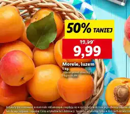 Lidl Morele oferta