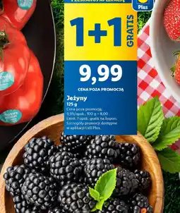 Lidl Jeżyny oferta