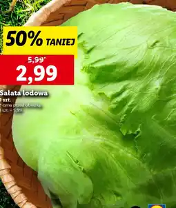 Lidl Sałata lodowa oferta