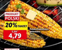 Lidl Polska kukurydza gotowana oferta