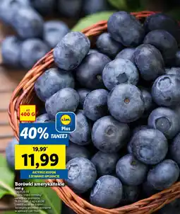 Lidl Borówki amerykańskie oferta