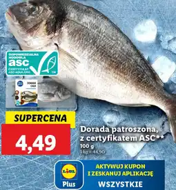 Lidl Dorada patroszona oferta