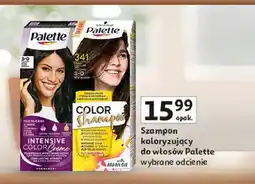 Auchan Szampon do koloryzacji włosów 341 (3-0) Palette Color Shampoo oferta