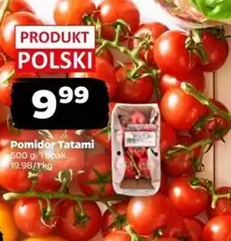 Netto Pomidory tatami Vegapol oferta