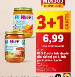Lidl HiPP BIO Danie lub danie dla dzieci oferta