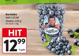Intermarche Borówka SAN LUCAR shaker oferta