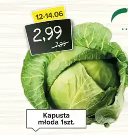 Spiżarnia Smakosza Kapusta młoda oferta