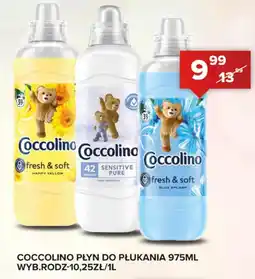 Spiżarnia Smakosza Płyn do płukania Coccolino oferta