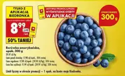 Biedronka Borówka amerykańska opak 300 g oferta