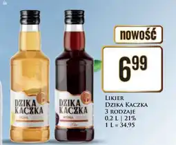 Dino Likier Dzika Kaczka oferta
