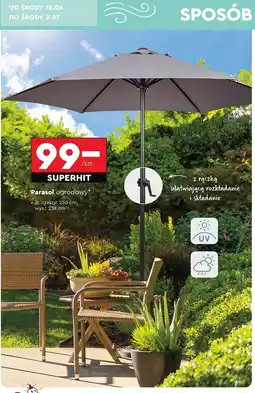Biedronka Parasol ogrodowy oferta