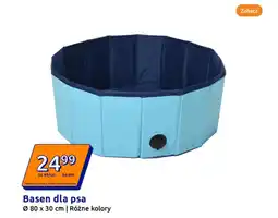 Action Basen dla psa oferta