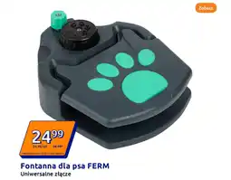 Action Fontanna dla psa FERM oferta