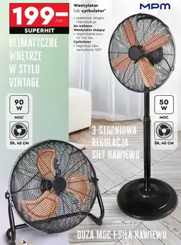 Biedronka Wentylator MPM oferta
