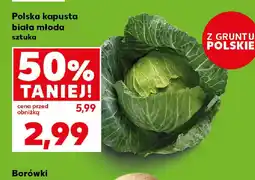 Kaufland Polska kapusta biaŁa mŁoda oferta
