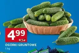 Stokrotka Optima Ogórki oferta