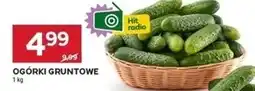 Stokrotka Ogórki Hit oferta