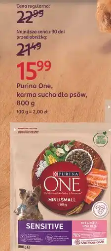 Rossmann Karma dla psa mini/small oferta