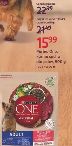 Rossmann Karma dla psa adult mini wołowina i ryż Purina One oferta