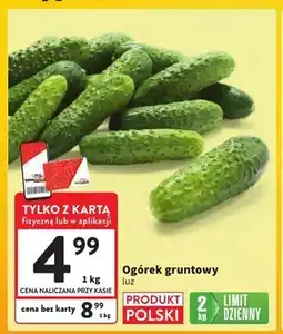 Intermarche Ogórek Limit oferta