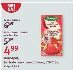 Rossmann Herbata truskawka z poziomka Herbapol Herbaciany Ogród oferta