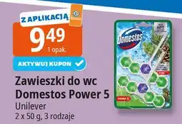 E.Leclerc Kostka do wc pine Domestos Power5 oferta