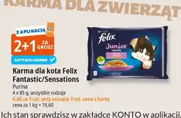 E.Leclerc Karma dla kota kurczak + łosoś Purina Felix Junior oferta