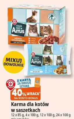 E.Leclerc Karma dla kota kawałki w sosie rybne Wiodąca Marka Tous Mes Amis oferta