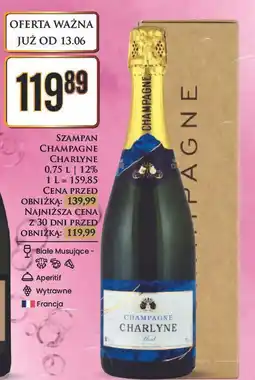 Dino Szampan karton Charlyne oferta