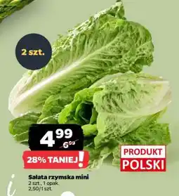 Netto Sałata rzymska mini oferta