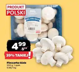 Netto Pieczarka biała oferta