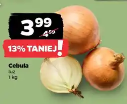 Netto Cebula luz oferta