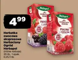 Netto Herbatka owocowa ekspresowa Herbaciany Ogród Herbapol oferta