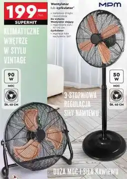 Biedronka Wentylator lub cyrkulator oferta