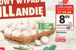 Intermarche Pieczarka luz oferta