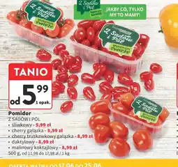 Intermarche Pomidor oferta