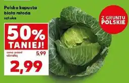 Kaufland Kapusta biała młoda oferta