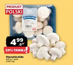 Netto Pieczarki białe Z Zieleniaka Netto oferta