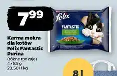 Netto Karma dla kota z królikiem w galaretce Purina Felix Fantastic oferta