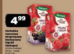 Netto Herbata prosto z lasu Herbapol Herbaciany Ogród oferta