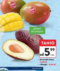 Intermarche Avocado Hass oferta