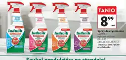 Intermarche Spray do czyszczenia Ludwik oferta