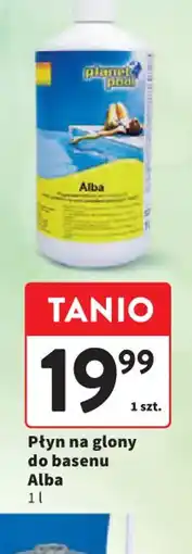 Intermarche Płyn na glony do basenu Alba oferta