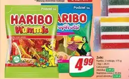 Dino Żelki Haribo oferta