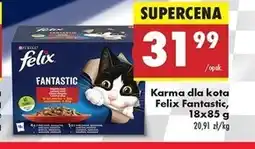 Biedronka Karma dla kota oferta